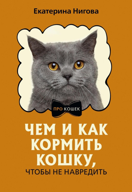 What and How to Feed Your Cat Without Causing Harm