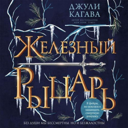 Залізний лицар