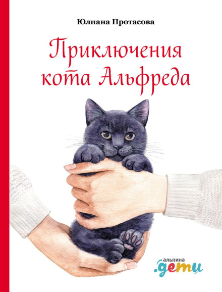 The Adventures of Cat Alfred