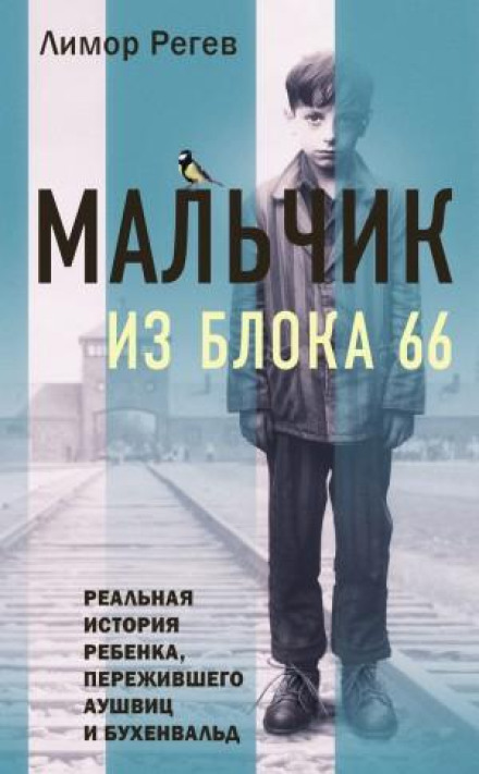 The Boy from Block 66: A True Story of a Child Who Survived Auschwitz and Buchenwald