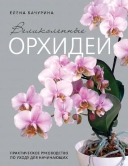 Magnificent Orchids. A Practical Care Guide for Beginners