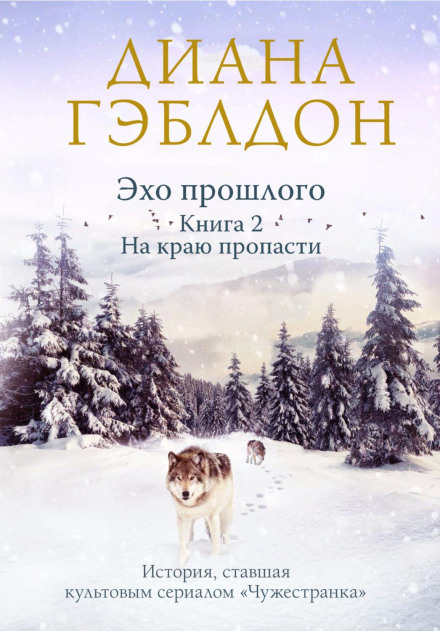 Відлуння минулого. Книга 2. На краю прірви
