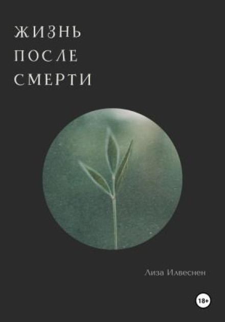 Життя після смерті