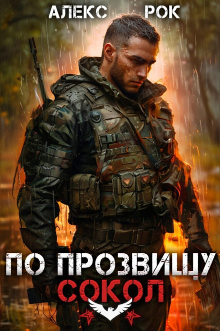 На прізвисько «Сокіл». Том 1