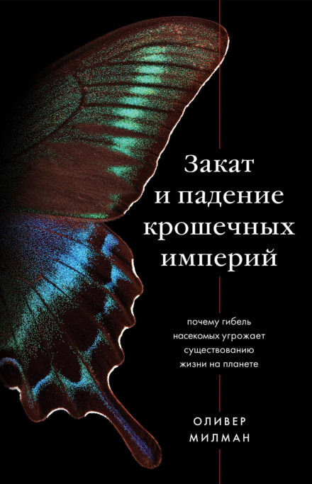 Захід і падіння крихітних імперій. Чому загибель комах загрожує існуванню життя на планеті