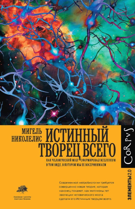 The True Creator of Everything: How the Human Brain Shaped the Universe as We Perceive It